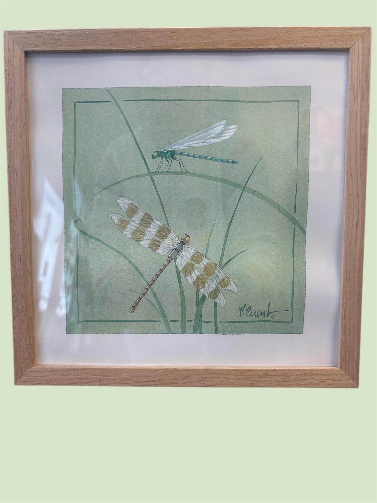 T - Dragonfly framed print B by P Brent