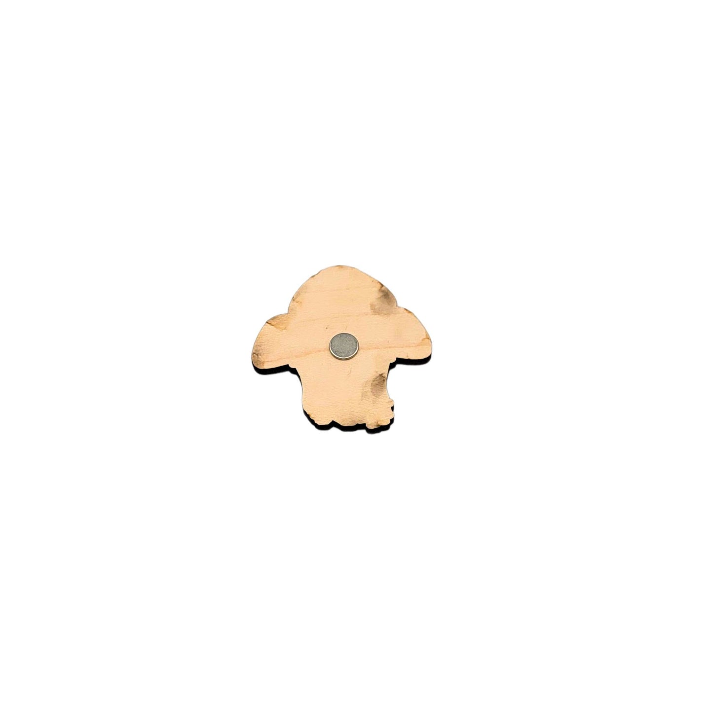 Summer Flowers Dog Paw Print Magnet