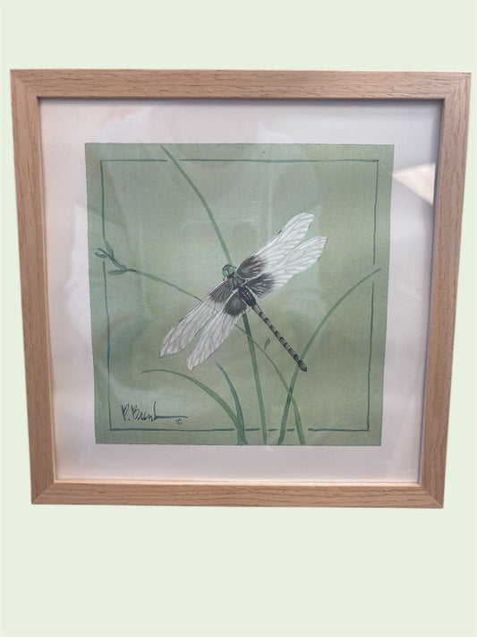 T - Dragonfly print A by P Brent