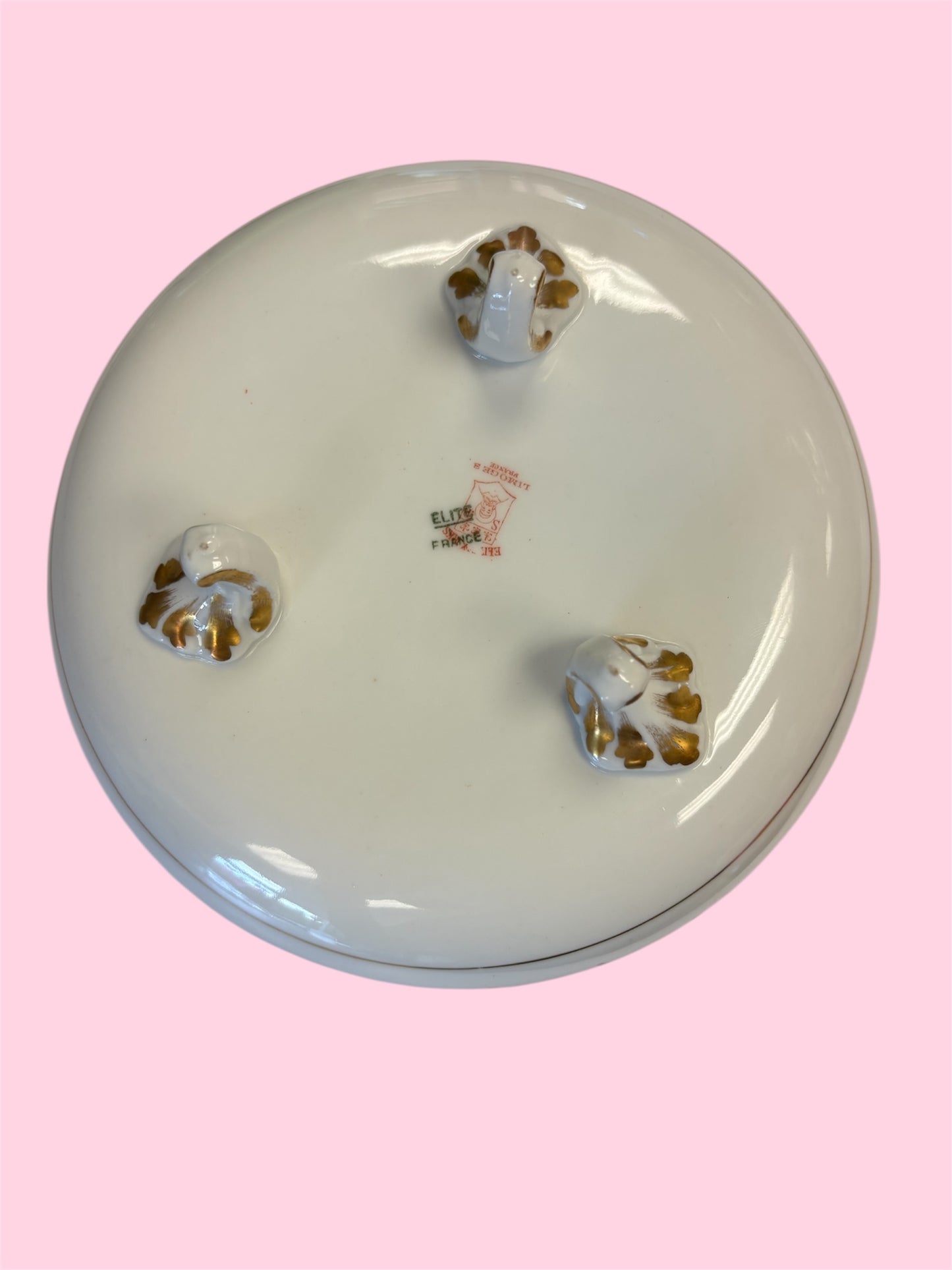 D - Elite Works Pink and Green Ivy Porcelein Bowl, Gilded, 6 3/4"