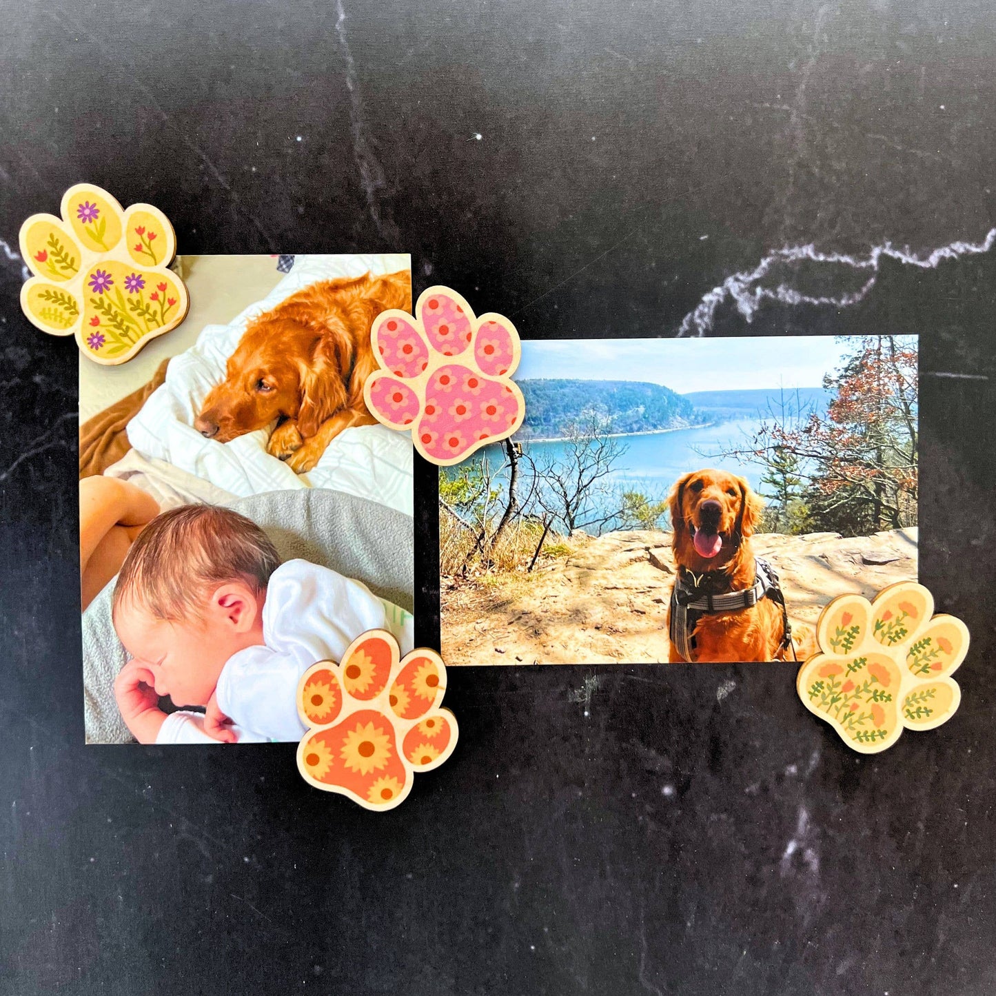 Summer Flowers Dog Paw Print Magnet